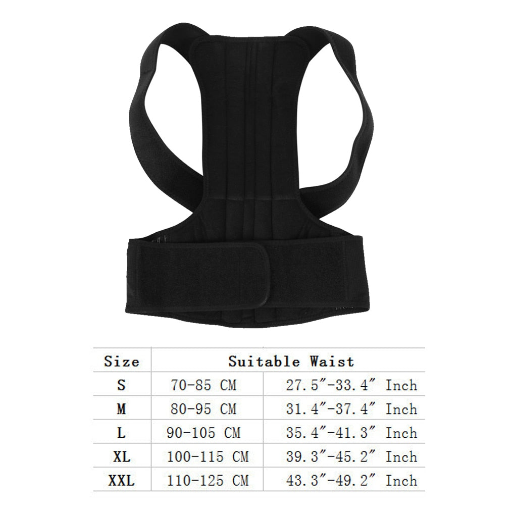 Posture Back Belt